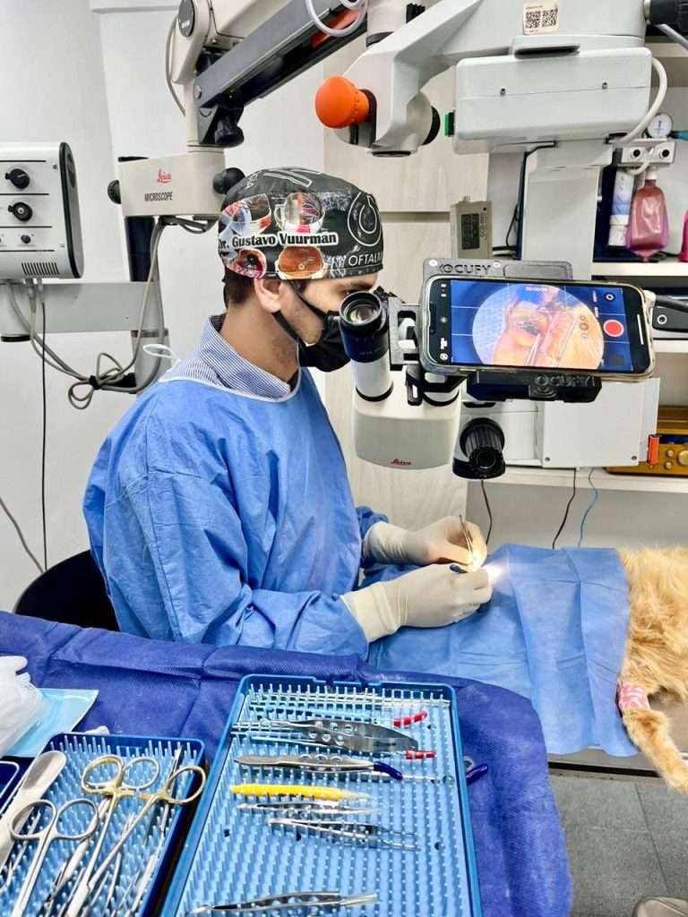 Dr. Gustavo Vuurman Especialista en Oftalmología Veterinaria