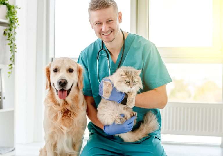 Obstrucción Gastrointestinal en Perros y Gatos