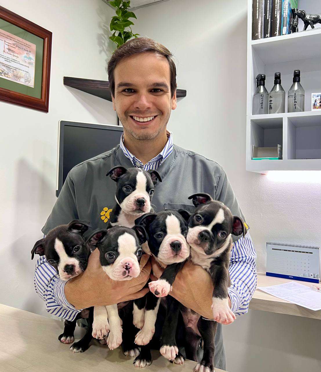 Dr. Gustavo Vuurman - Clínica veterinaria en caracas