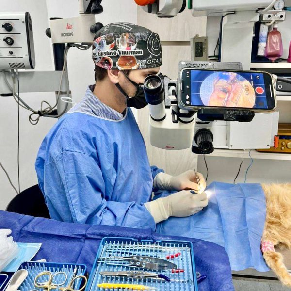Dr. Gustavo Vuurman Especialista en Oftalmología Veterinaria